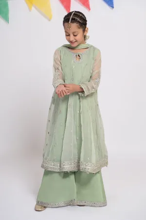 3 Piece Embroidered Organza Suit | MKS-EF24-15