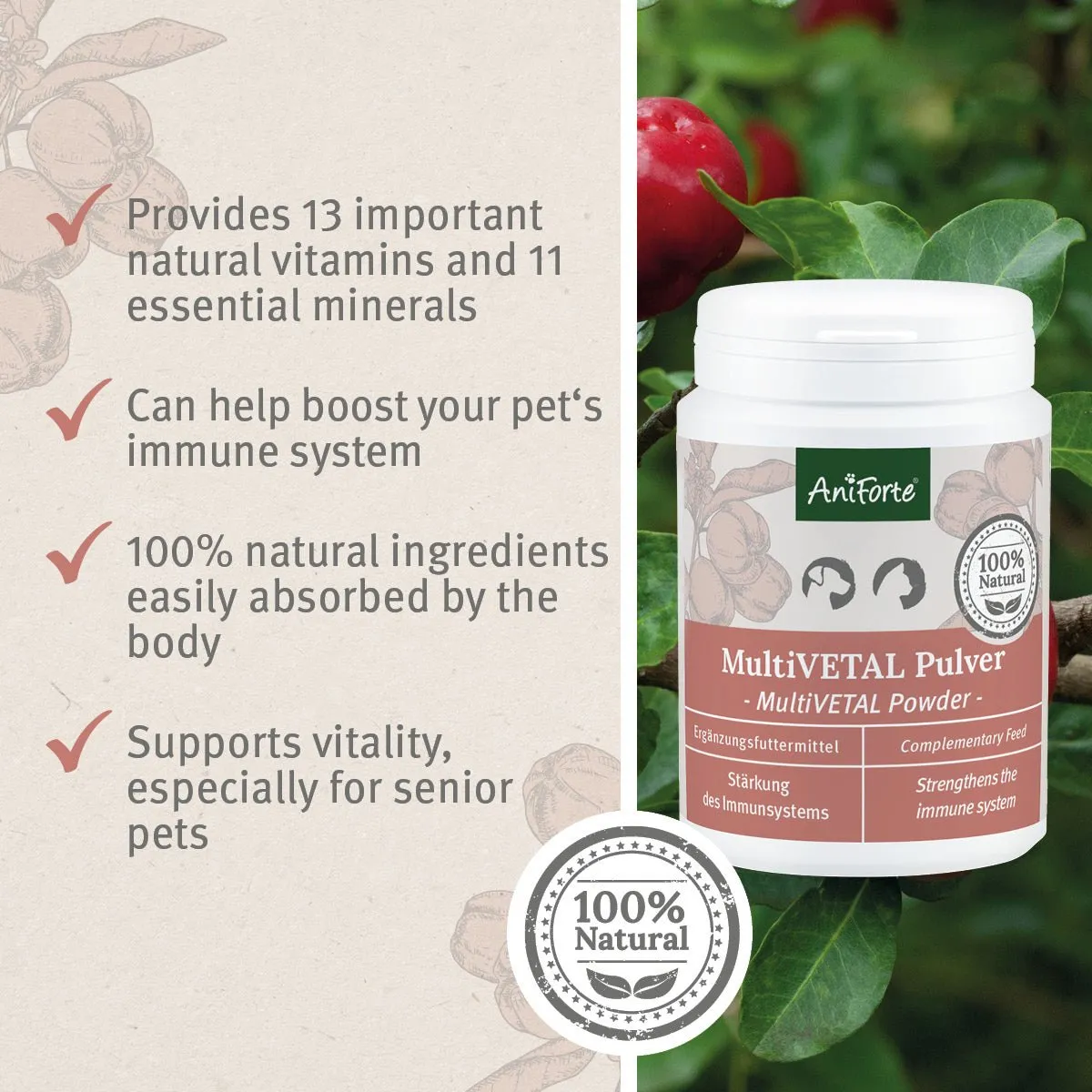 MultiVETAL Powder 100g - Natural Vitamin and Mineral Supplement for Dogs & Cats